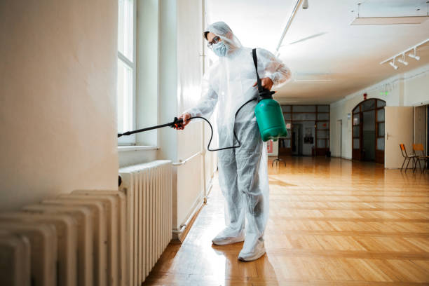 Professional Pest Control in Johnson City, NY